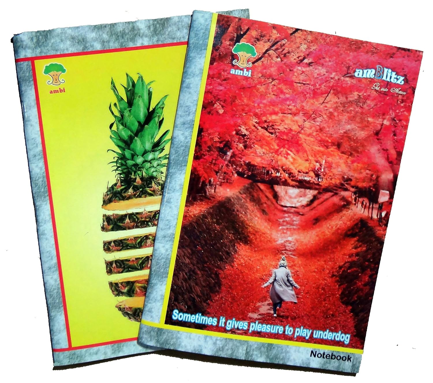 Notebook · 104 Pages · Pack of 4